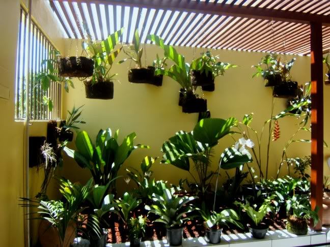 Jardim3.jpg