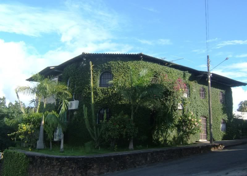 Paintlesshouse.jpg