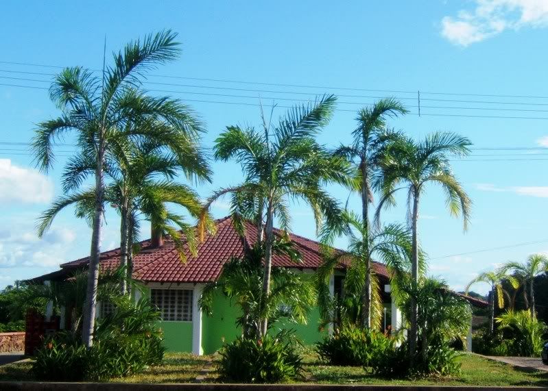 Pupunhaandfishrestaurant.jpg