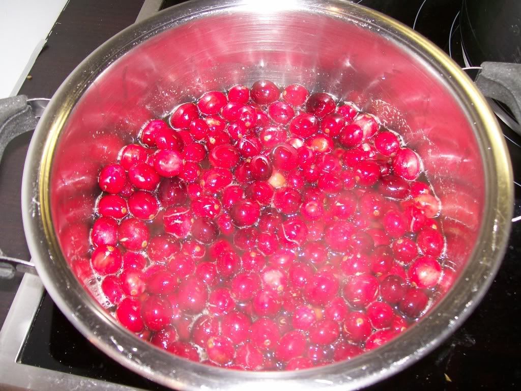 100_1400.jpg