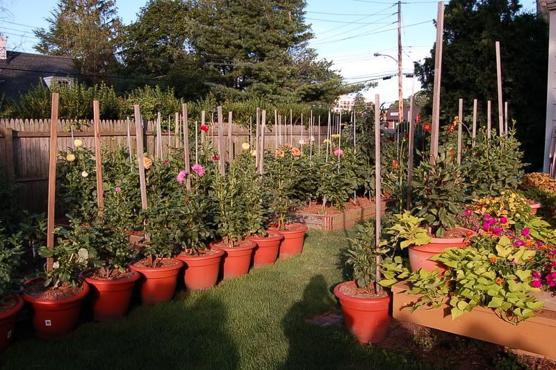 Photo Sharing and Video Hosting at Photobucket