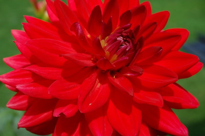 Photo Sharing and Video Hosting at Photobucket