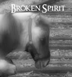 § Broken Spirit § Avatar