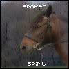 Broken spirit Avatar