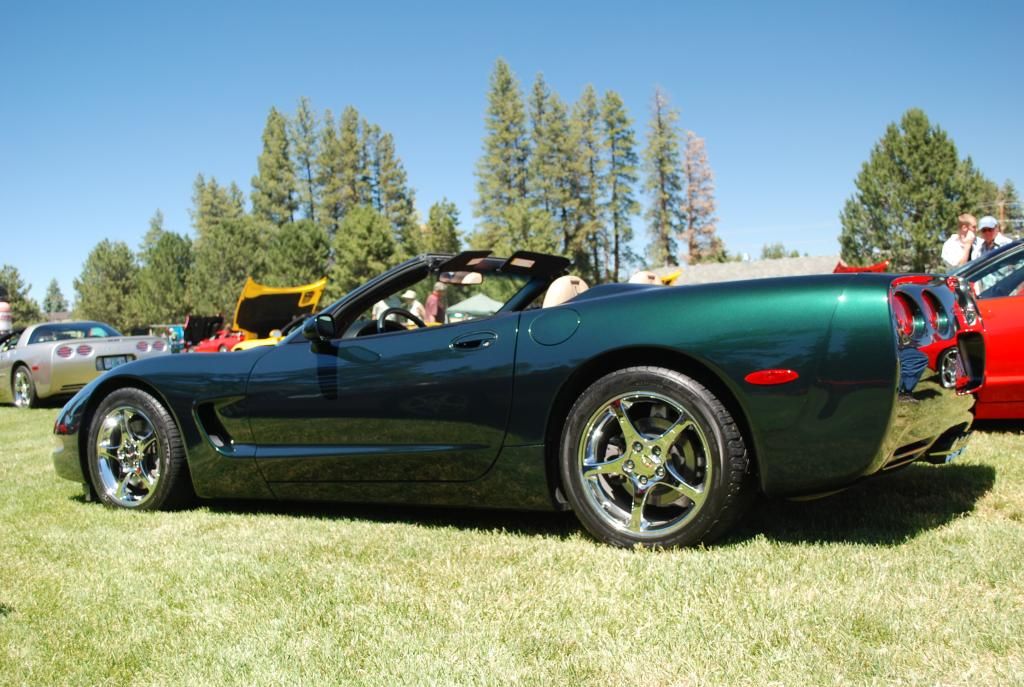 DSC_1590_zps7d774cfb.jpg