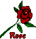 A Rose Is A Rose.....