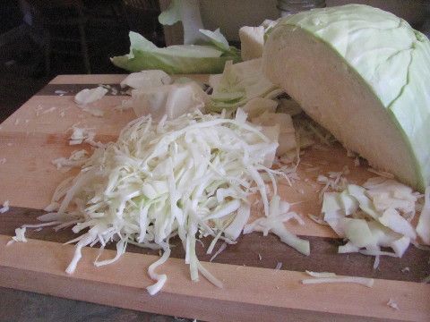  photo cutting cabbage_1.jpg