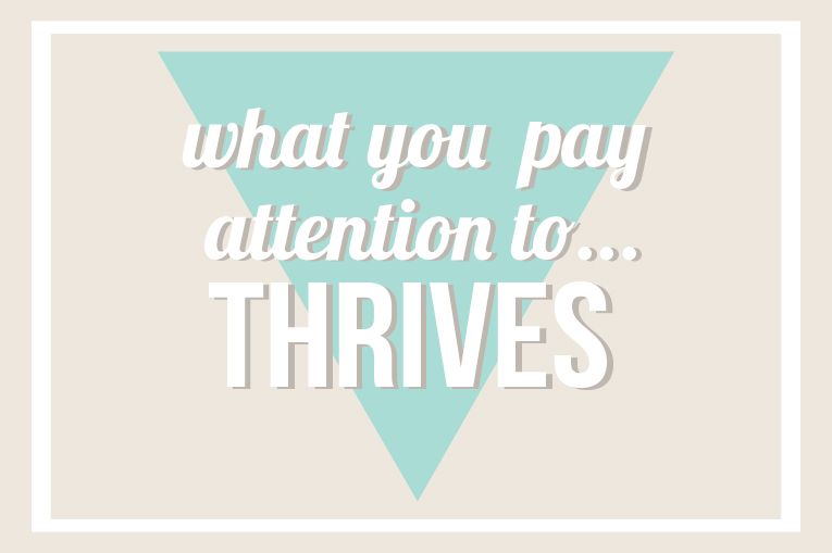 What you pay attention to by: Isn't that Sew
