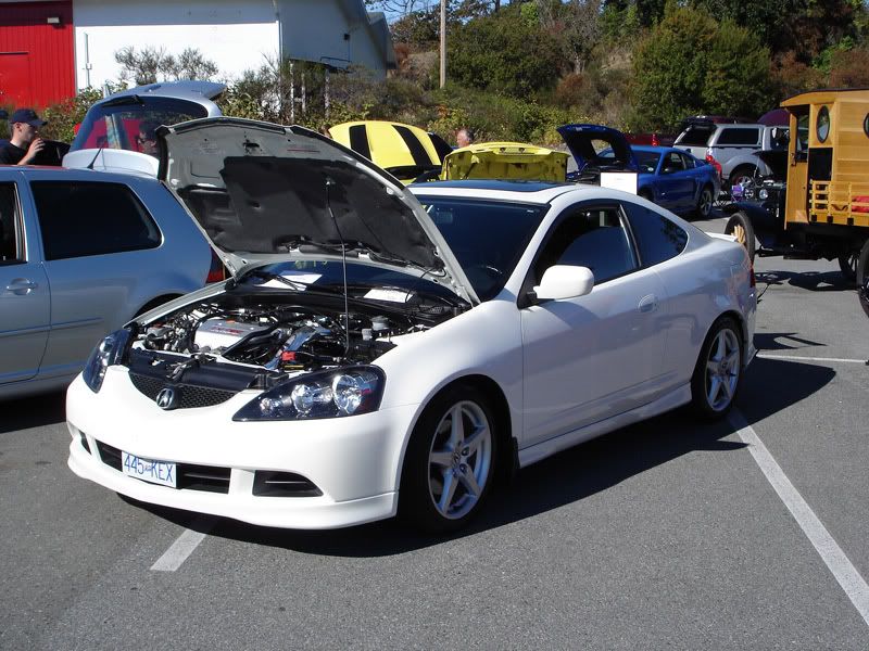 IMAGE: http://i13.photobucket.com/albums/a289/skip908/r1.jpg