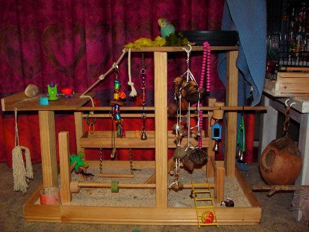 Imag0411_450x337.jpg