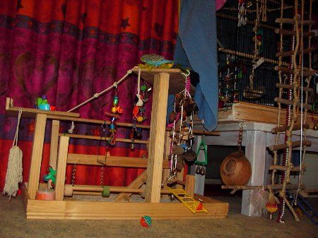 Imag0413_450x337.jpg