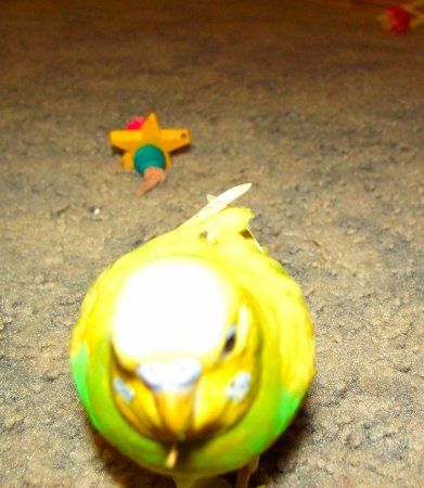Cheekyboy_391x450.jpg