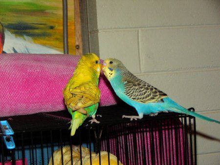IMAG0152_450x337.jpg