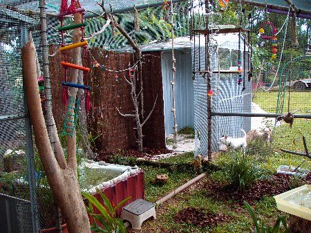 IMAG0686_450x337.jpg
