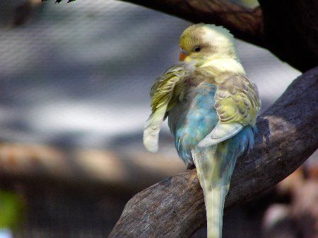 IMAG0777_450x337.jpg