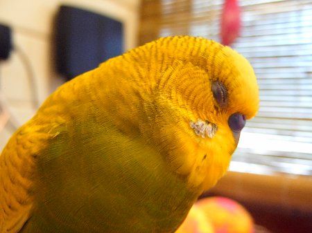 IMAG0818_450x337.jpg