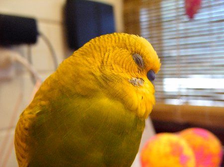 IMAG0819_450x337.jpg