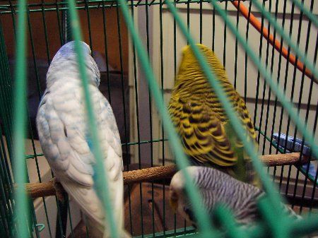 IMAG1022_450x337.jpg