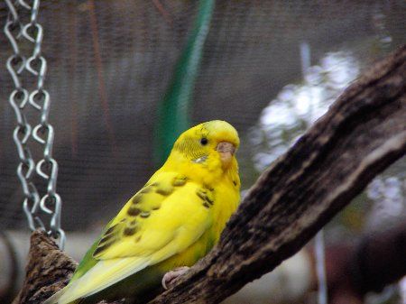 IMAG1211_450x337.jpg