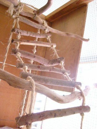Ladder1_337x450.jpg