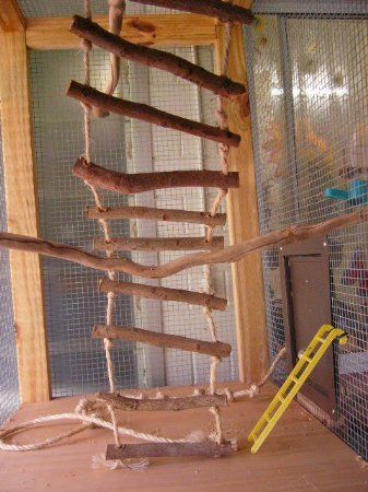 Ladder_337x450.jpg