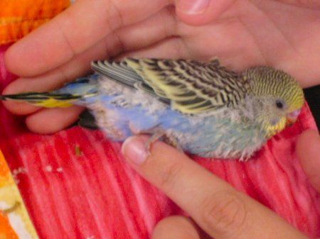 Munchysleepy_450x337.jpg