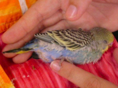 Munchysoundasleep_450x337.jpg