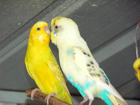 IMAG0023_450x337.jpg