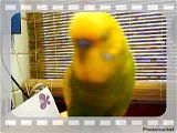 th_IMAG0822.jpg