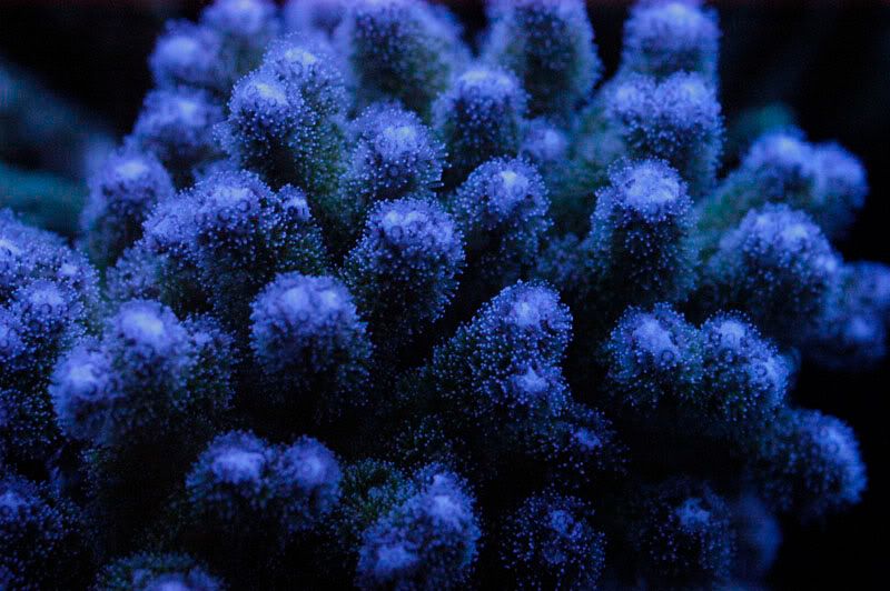 DSC_0073web.jpg