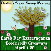 Dester's Super Savvy Mommy