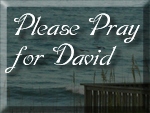 Pray for David