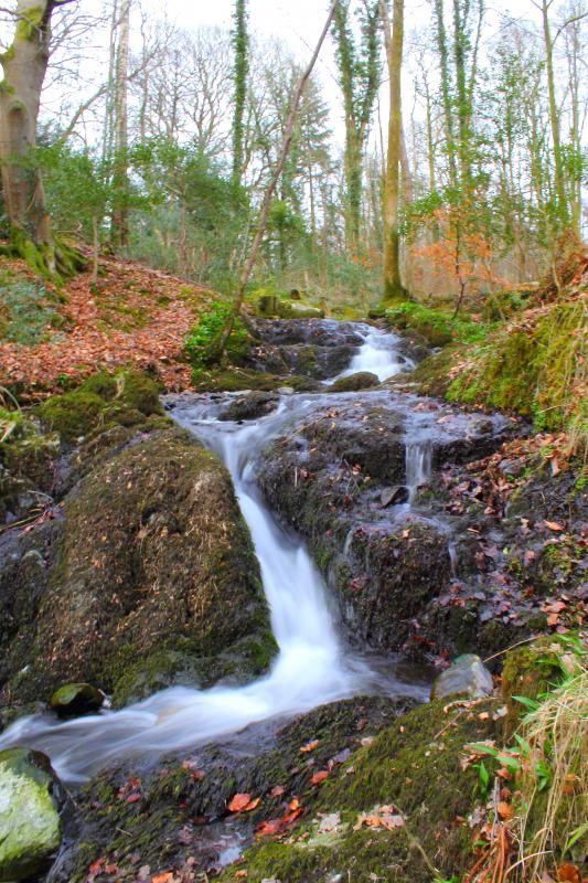 IMAGE: http://i13.photobucket.com/albums/a291/D4le/new/water4_zps14ed876d.jpg