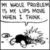 calvin-1.jpg