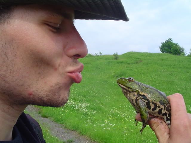 kiss-the-frog.jpg