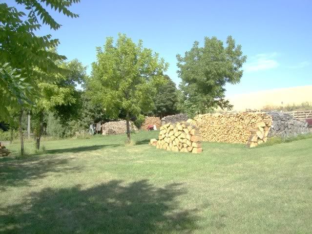 001-4.jpg