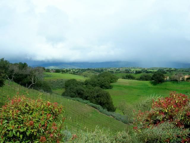 DSCN8748.jpg