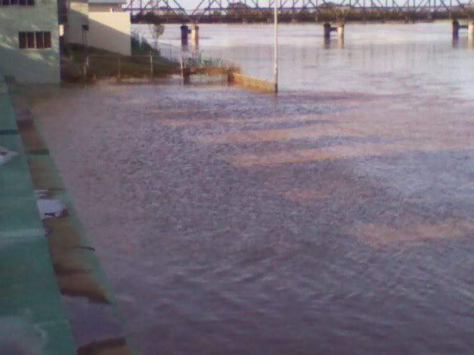 Taree Floods