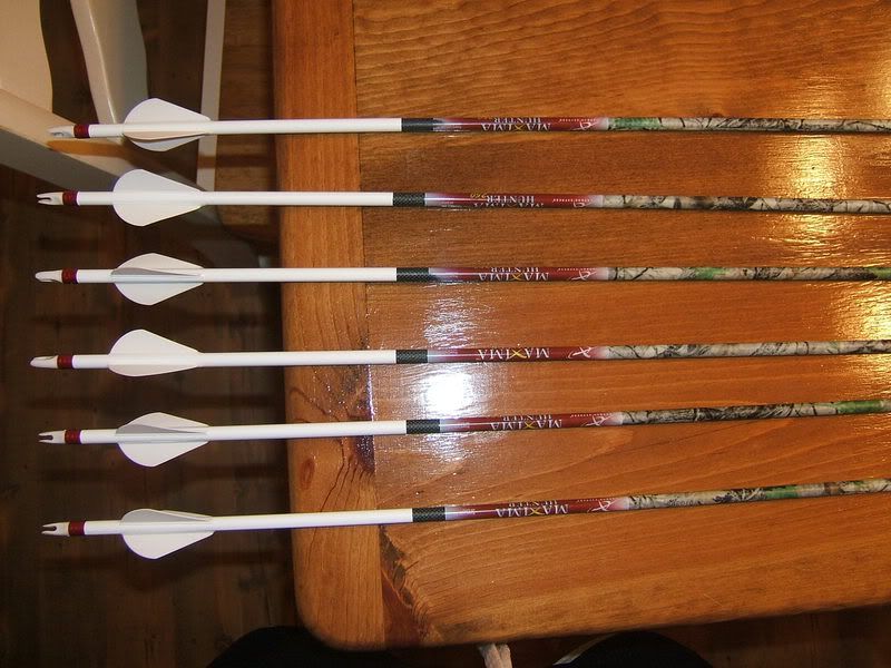 Fletching color combination Missouri Whitetails Your Missouri