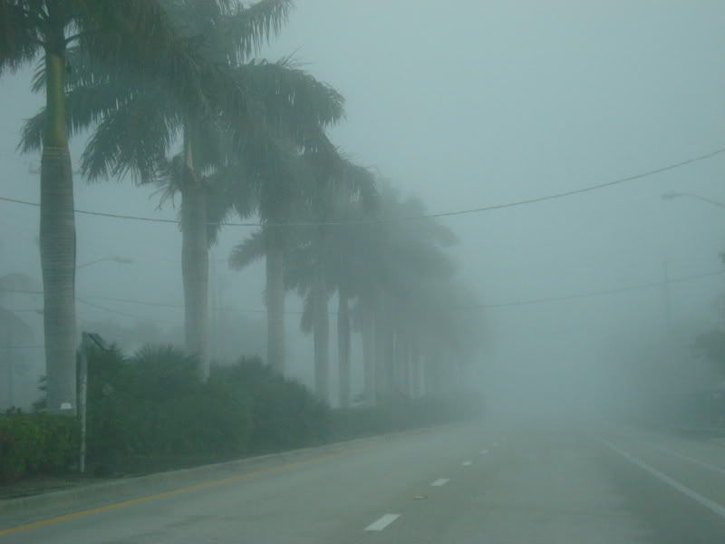 DSC01245.jpg