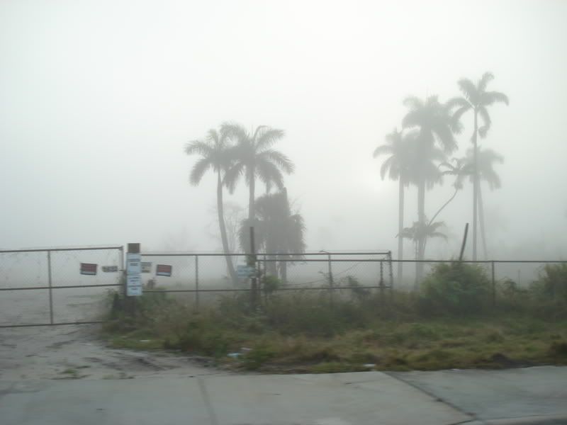 DSC01247.jpg