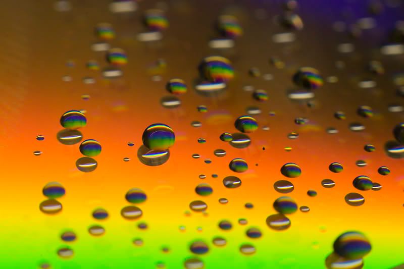 IMAGE: http://i13.photobucket.com/albums/a294/peteghia/Darren/IMG_4858.jpg