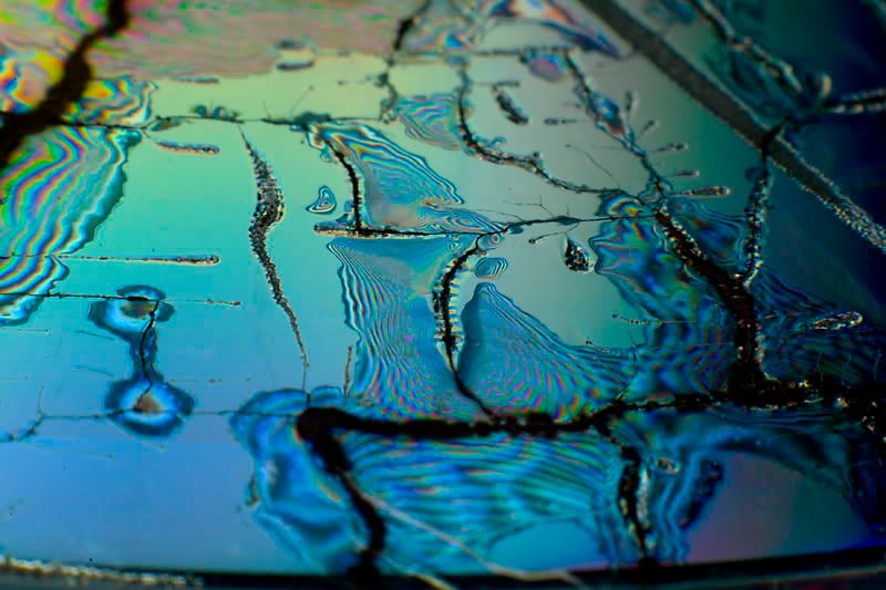 IMAGE: http://i13.photobucket.com/albums/a294/peteghia/Darren/IMG_4901.jpg