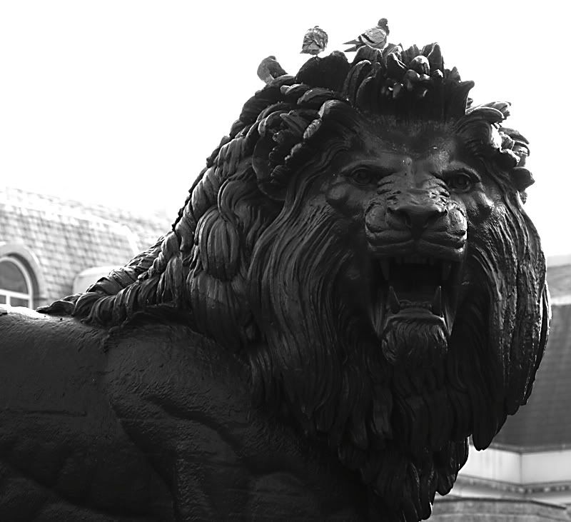 IMAGE: http://i13.photobucket.com/albums/a294/peteghia/IMG_3773.jpg