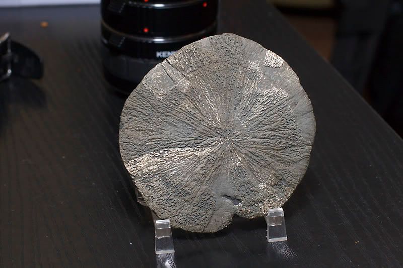 IMAGE: http://i13.photobucket.com/albums/a294/peteghia/IMG_4325.jpg