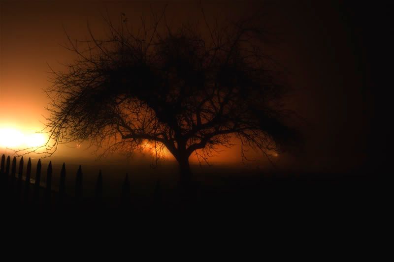 IMAGE: http://i13.photobucket.com/albums/a294/peteghia/IMG_5003-DS.jpg