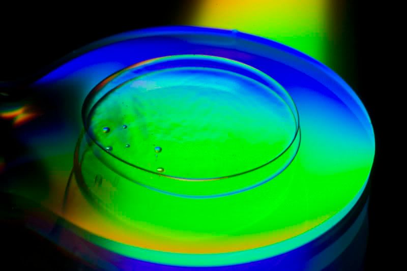 IMAGE: http://i13.photobucket.com/albums/a294/peteghia/IMG_5095.jpg