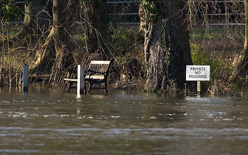 IMAGE: http://i13.photobucket.com/albums/a294/peteghia/Pangbourne%20Meadow/IMG_5659.jpg