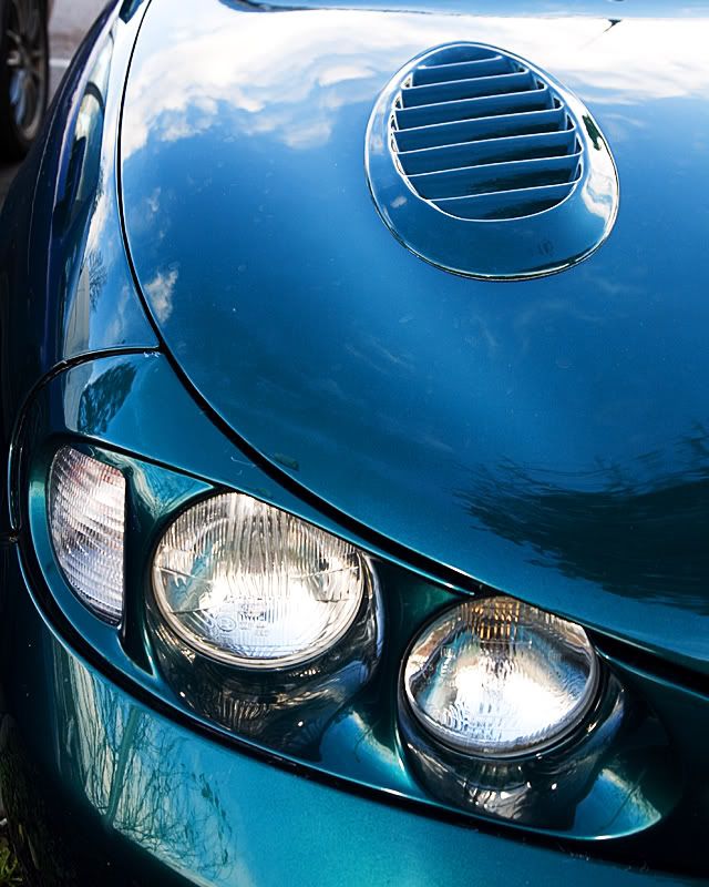 IMAGE: http://i13.photobucket.com/albums/a294/peteghia/STOC/2007-1-28%20Hungry%20Horse/IMG_0511.jpg