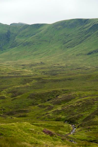 IMAGE: http://i13.photobucket.com/albums/a294/peteghia/Scotland-2006/IMG_1648.jpg